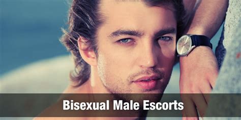 gay escorts near me|The Male Escort Agency